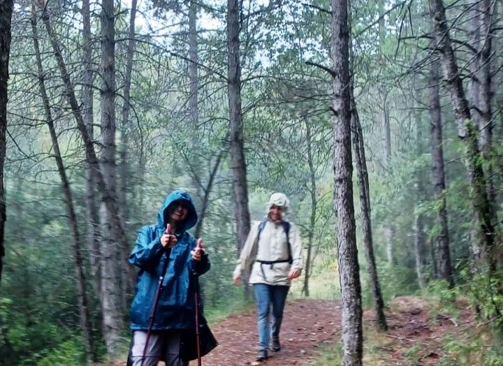 Un dia plujós pels boscos de Pallerols