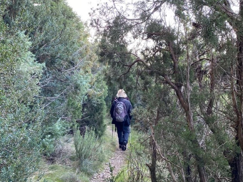 A Mexican woman, María Esmeralda Chalita Kaim, has been to Pallerols and Andorra and tells us about her experience.